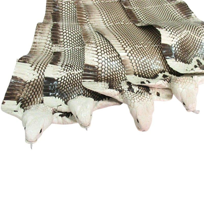 Cobra Snake Skin Snake Leather Hide Splitting Snakeskin with Head Cobra Taxidermy Real Snake Hide Natural 55 Length X5.5 Width Inches One Piece