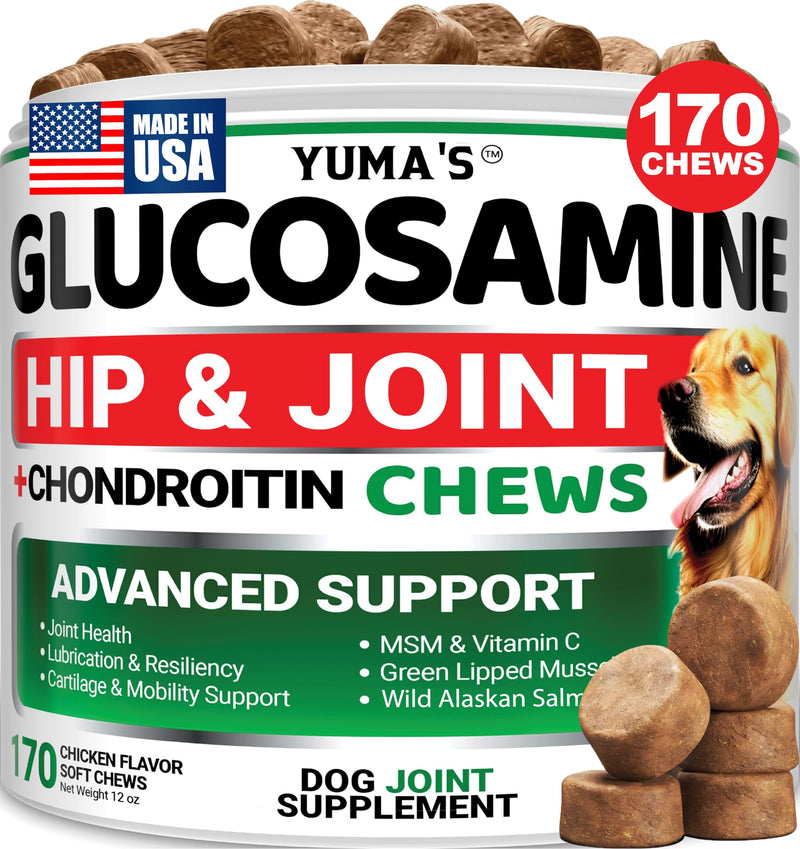 YUMA'S Glucosamine for Dogs - Hip and Joint Supplement for Dogs - 170 Ct - Glucosamine Chondroitin Chews - Joint Pain Relief Supplement with MSM -