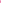 THERMOS FUNTAINER 16 Ounce Stainless Steel Vacuum Insulated Bottle with Wide Spout Lid, Neon Pink