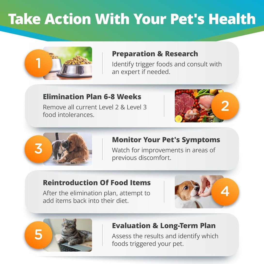 5Strands Pet Food Intolerance Test, at Home Sensitivity Test for Dogs & Cats, 270 Items, Hair Analysis, Accurate for All Ages & Breeds, Pet Gut Health, Fast 5 Day Results