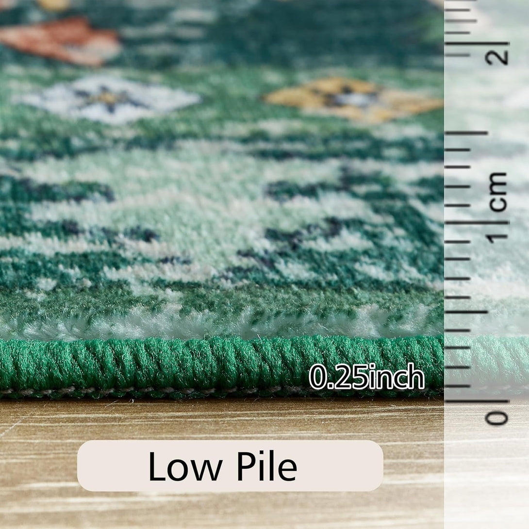 5X7 Ft Green Washable Area Rug, Non-Slip Soft Boho Indoor/Outdoor Rug for Bedroom, Living Room, Kitchen, Patio, Office, Entryway, Kids, & Runners
