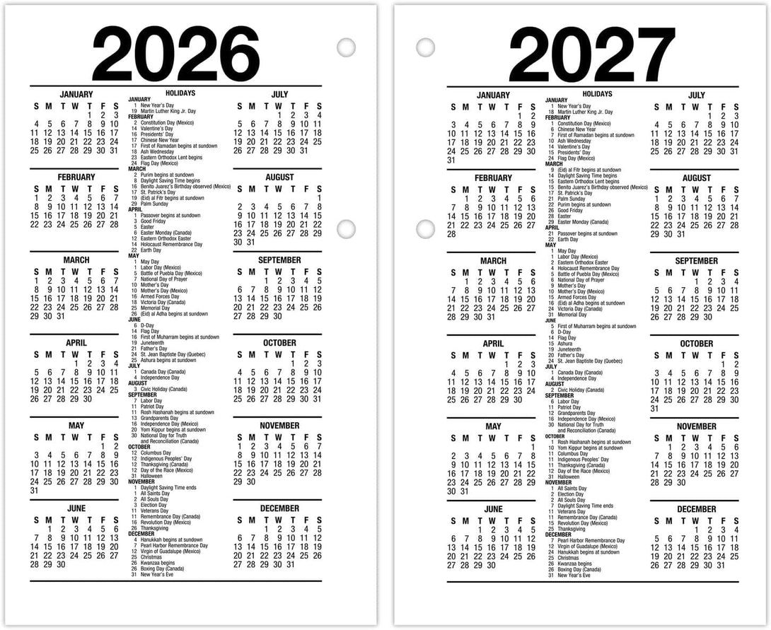 AT-A-GLANCE 2025 Desk Calendar Refill, Daily, 3-1/2" X 6", Standard, Loose-Leaf (E7175025)