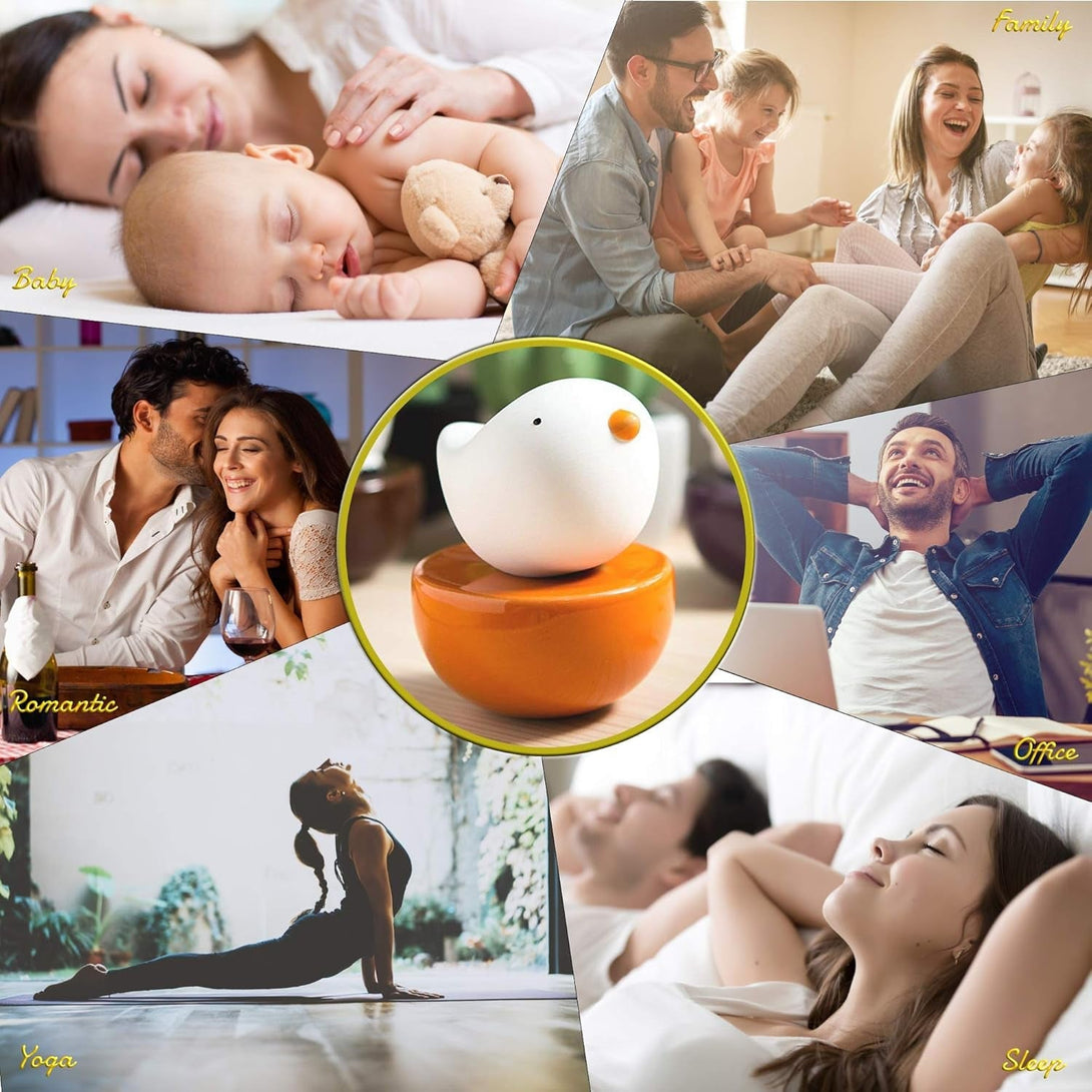 Baby Bird, Non-Electric Ceramic Diffusers for Essential Oils and Aromatherapy Fragrance, White Ceramic Diffusers in Car or Desk Office Decor and Small Bathroom at Home, Orange Vase