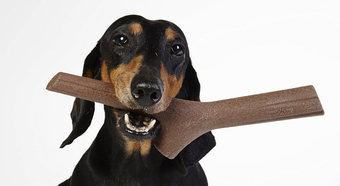 Pet AP-19155 Tuttomio Play-More Pet Stick - Mini