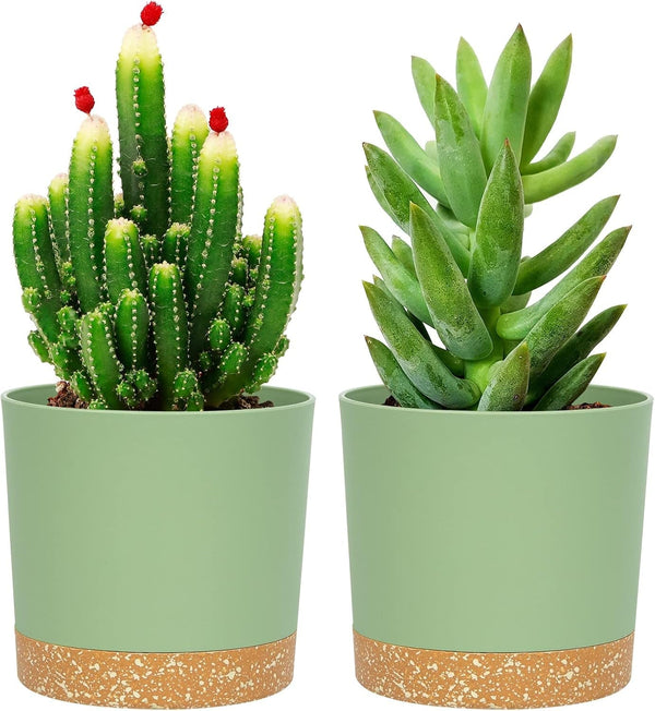 QCQHDU 5 Inch Plant Pot, 2 Pack Planters for Indoor Plants with Drainage Holes & Saucer, Outdoor Flower Pots Home Garden Modern Decor