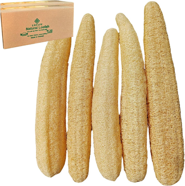 5 Pcs (14 – 16 Inches) Natural Loofah Sponge | Organic Loofah | Shower Loofah Exfoliating Body Scrubber | Bath for Loofah for Men and Women | (5 - Pack)
