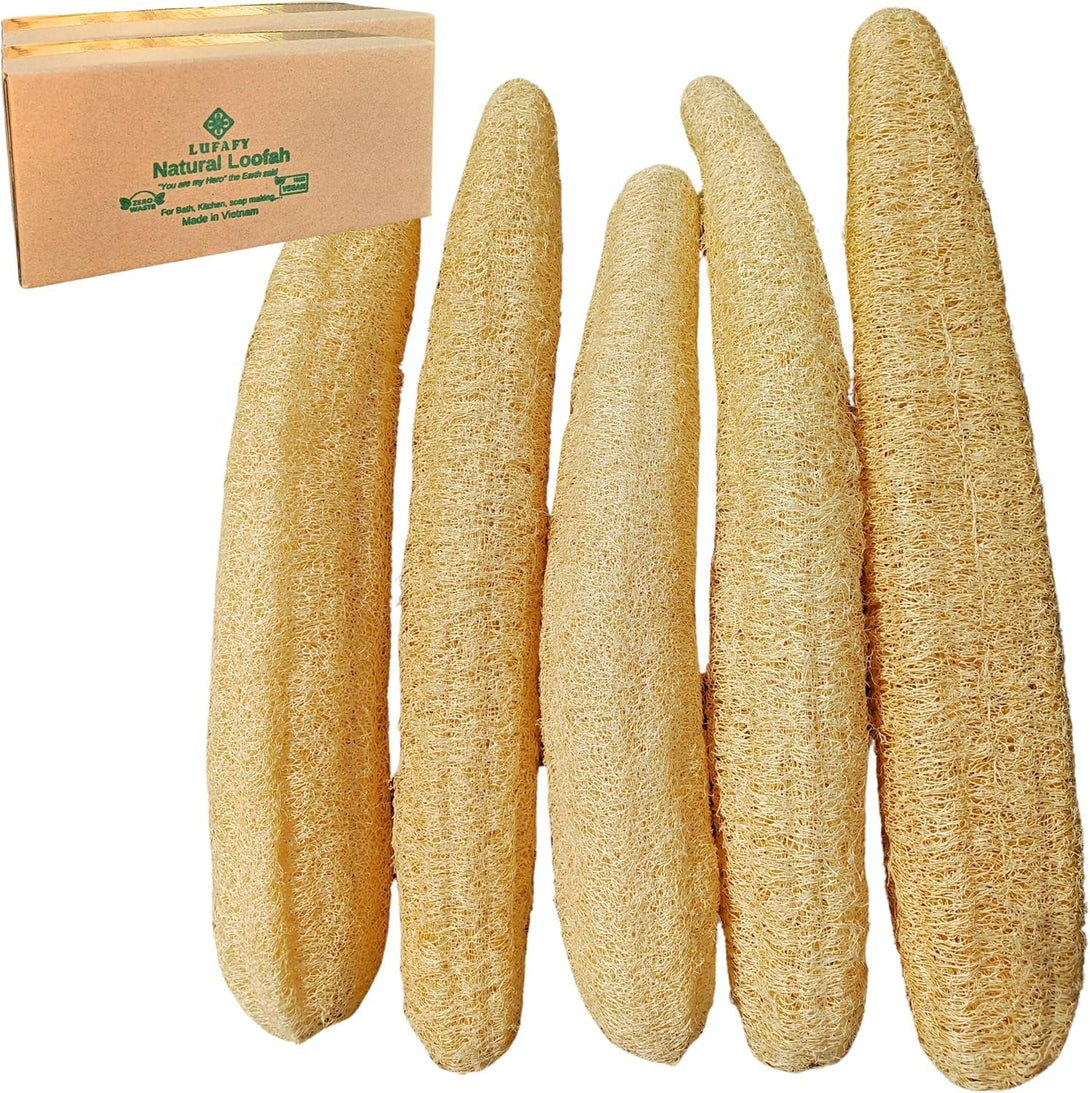 5 Pcs (14 – 16 Inches) Natural Loofah Sponge | Organic Loofah | Shower Loofah Exfoliating Body Scrubber | Bath for Loofah for Men and Women | (5 - Pack)