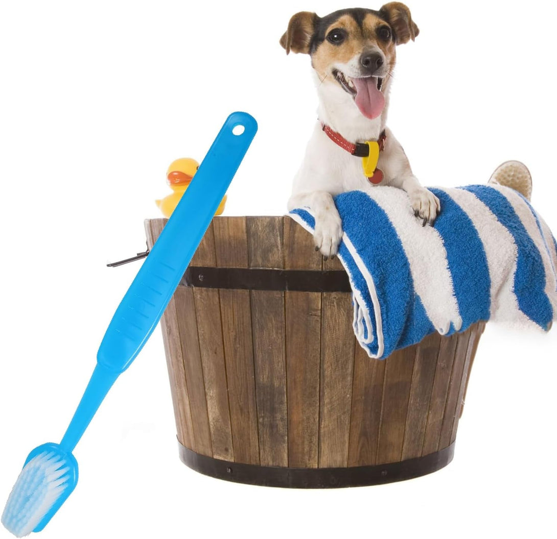 2 Pack Large Toothbrushes, 15.75 Inches Giant Toothbrush Prop, Big Brush Oversized Gag Novelty Toys for Costume Take Picture Comedy Party Favors Pet Grooming Brush (Pink, Blue)