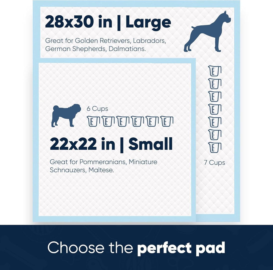 AMERICAN KENNEL CLUB AKC62975 6-Layer Leak-Proof Puppy Training Pads - 22X22 Inches, Green, Synthetic, Disposable-Pet-Training-Pads, Pack of 100