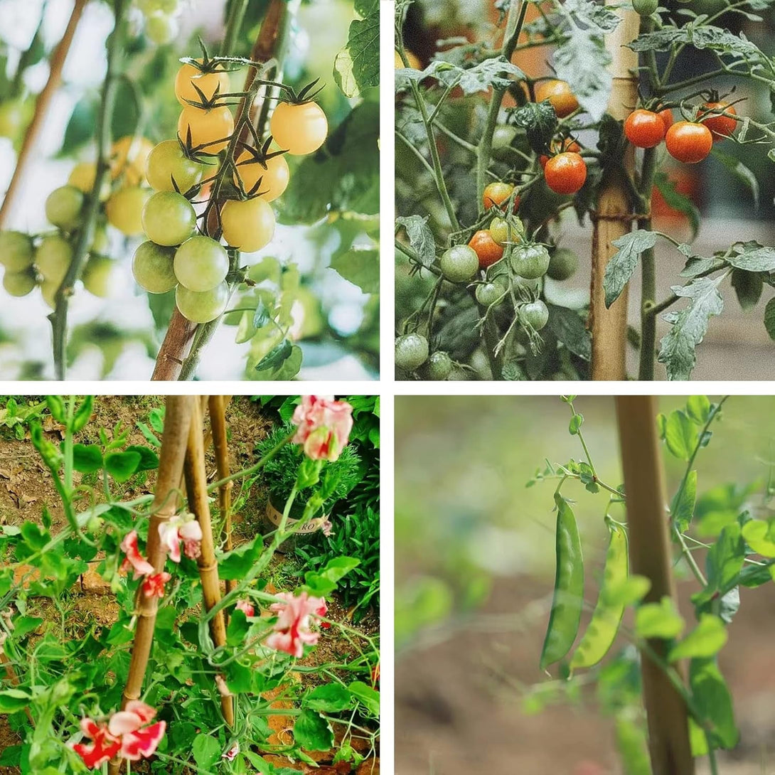 Bamboo Stakes 4FT Garden Stakes Plant Stakes for Indoor and Outdoor Climbing Plants Poles Sticks Support Tomatoes Eggplants Beans 25 Pack