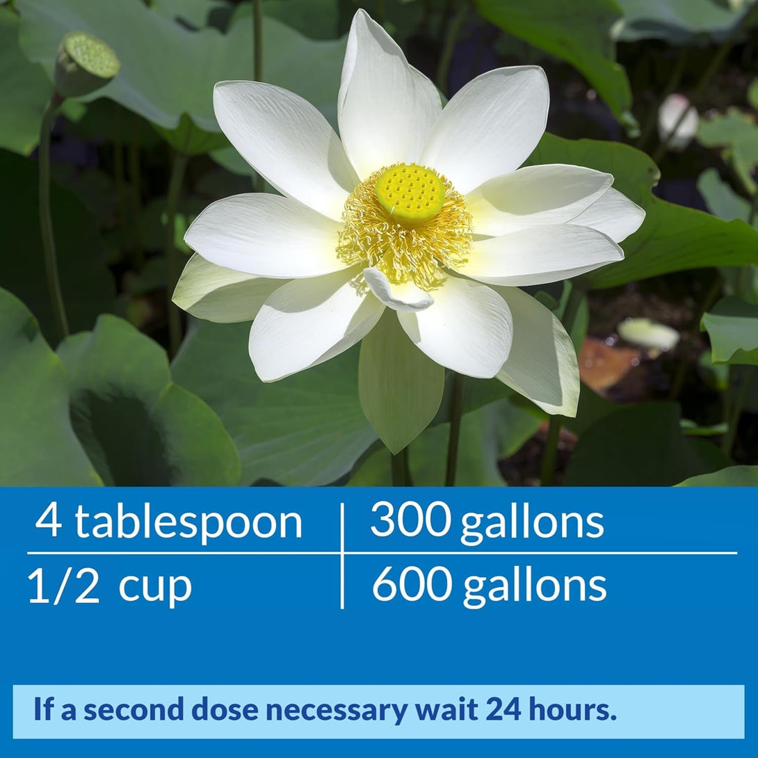 API POND ACCU-CLEAR Pond Water Clarifier 16-Ounce Bottle