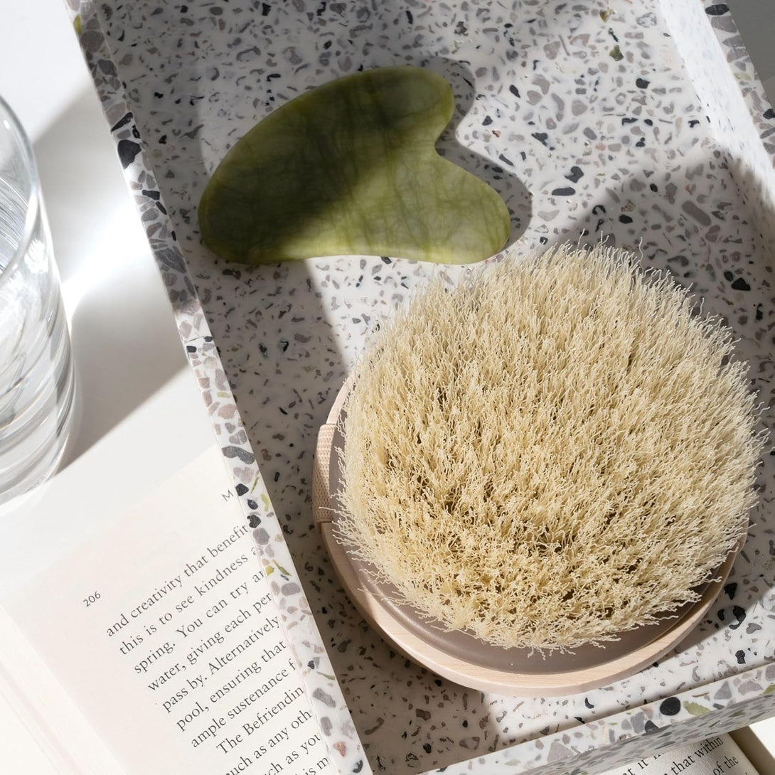 Ecotools Dry Body Brush, Cruelty-Free Bristles Exfoliate & Smooth Skin, Dry Brushing Removes Dry Skin, May Help Improve Circulation & Skin Tone, Eco-Friendly Skincare Tool, Vegan, 1 Count