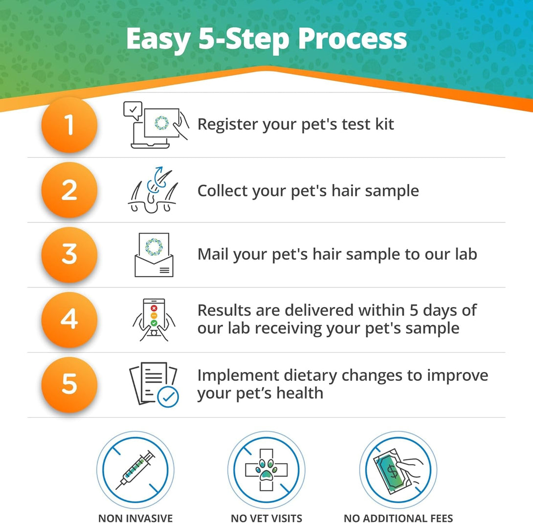 5Strands Pet Food Intolerance Test, at Home Sensitivity Test for Dogs & Cats, 270 Items, Hair Analysis, Accurate for All Ages & Breeds, Pet Gut Health, Fast 5 Day Results