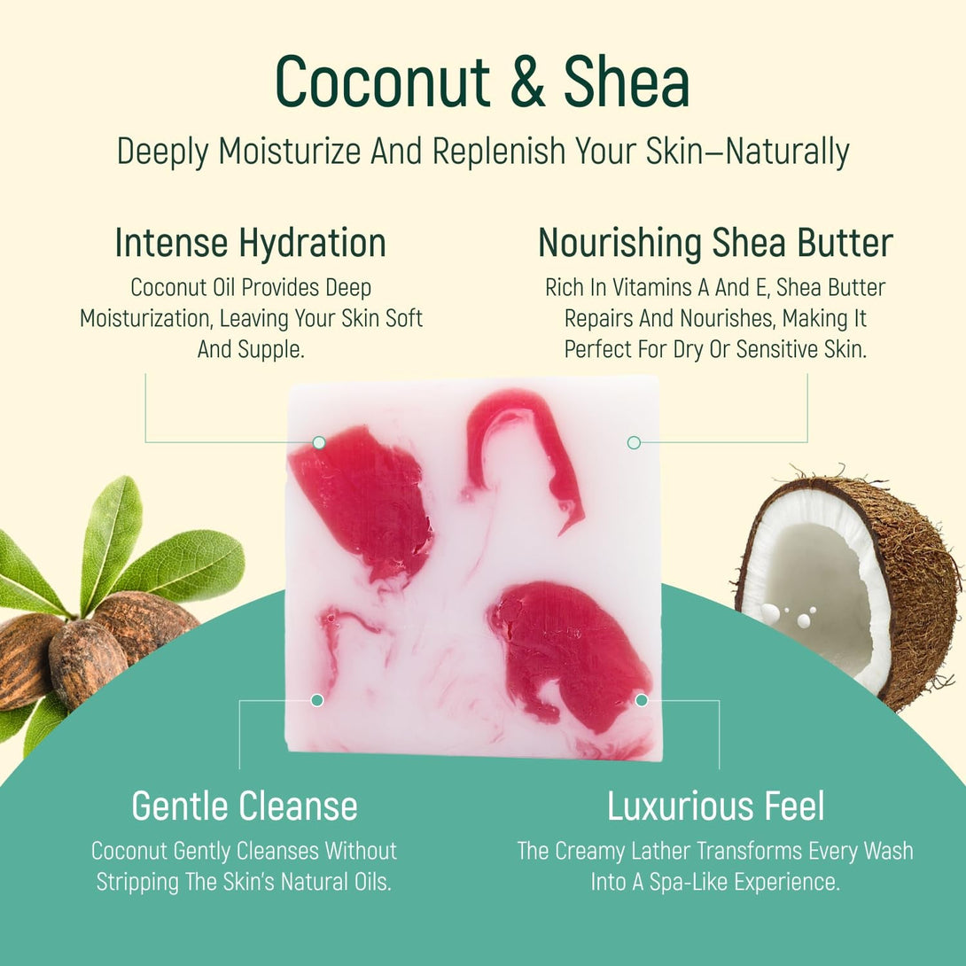 Solid Moisturizing Body Wash Bar Soap – Natural Dry Gel Bodywash Shower Bars with Plant Based Essential Oil and Zero Waste Packaging - Use with Hair Shampoo & Conditioner (Coconut & Shea)