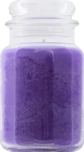 Yankee Candle Lilac Blossoms Scented, Classic 22Oz Large Jar Single Wick Candle, over 110 Hours of Burn Time, Perfect for Gifting, Gatherings and
