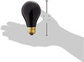 Fluker'S Incandescent Black Nightlight Bulbs for Reptiles, 100 Watt