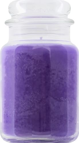 Yankee Candle Lilac Blossoms Scented, Classic 22Oz Large Jar Single Wick Candle, over 110 Hours of Burn Time, Perfect for Gifting, Gatherings and
