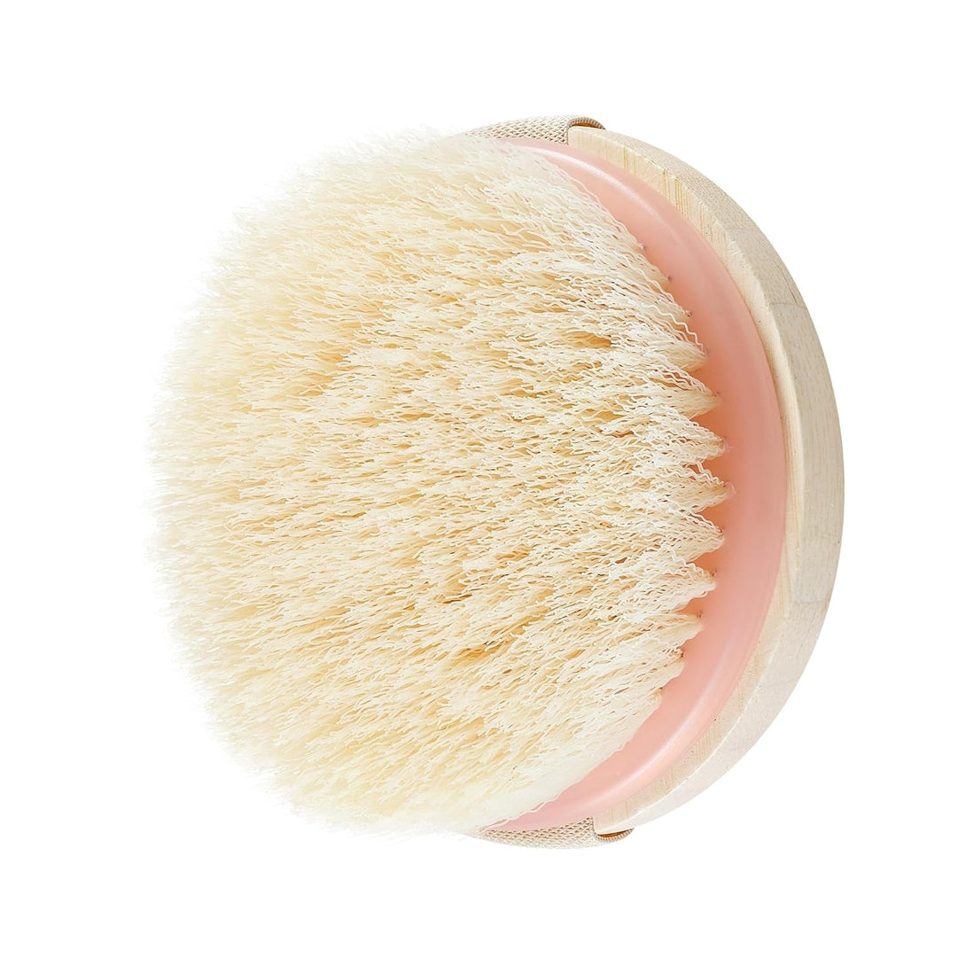 Ecotools Dry Body Brush, Cruelty-Free Bristles Exfoliate & Smooth Skin, Dry Brushing Removes Dry Skin, May Help Improve Circulation & Skin Tone, Eco-Friendly Skincare Tool, Vegan, 1 Count
