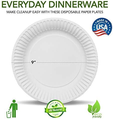 Stock Your Home 9-Inch Paper Plates Uncoated, Everyday Disposable Plates 9" Paper Plate Bulk, White, 300 Count