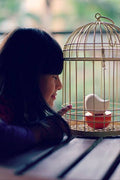 Baby Bird, Non-Electric Ceramic Diffusers for Essential Oils and Aromatherapy Fragrance, White Ceramic Diffusers in Car or Desk Office Decor and