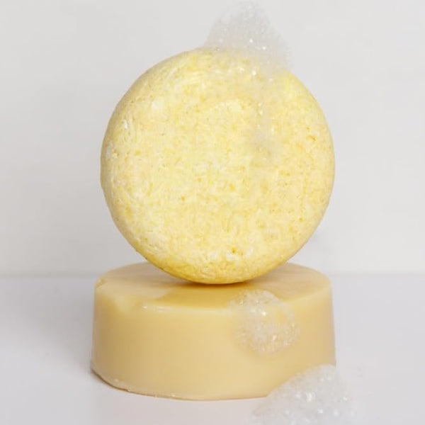 Seek Bamboo - Ginger Shampoo Bar â Stimulating & Nourishing with Avocado, Cocoa & Shea Butters, Plastic-Free for All Hair Types (Ginger)