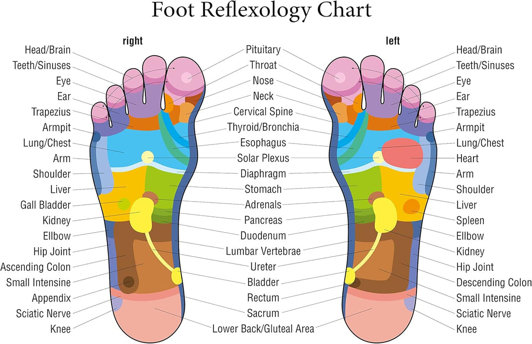 TOFL - Wooden Foot Massager - Natural Acupressure Reflexology Massage Roller for Relaxation and Stress Relief