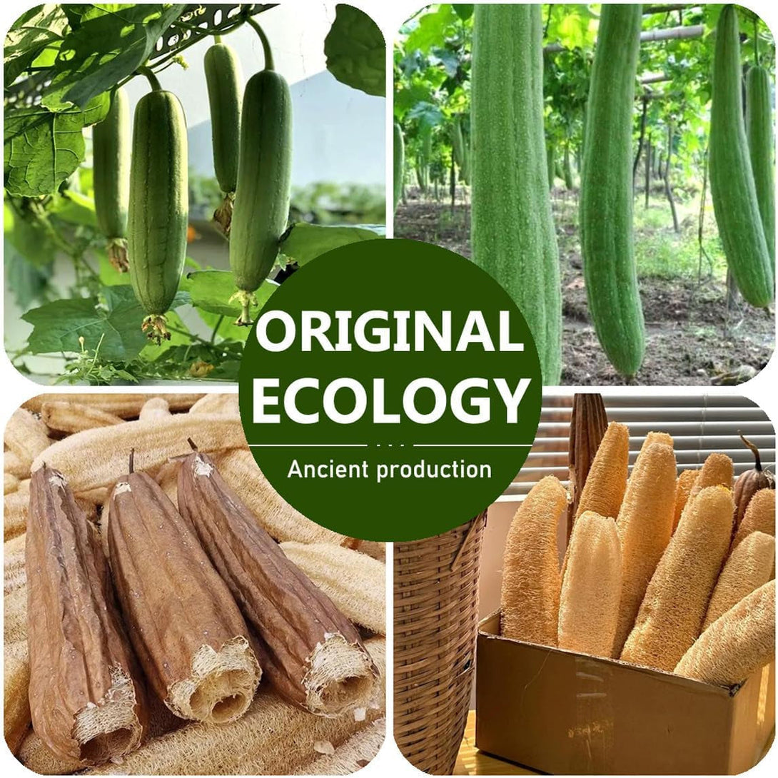 3 Pack Natural Loofah Bath Exfoliation Body Scrubber & Shower Sponge, Eco-Friendly Biodegradable Exfoliating Scrubber for Women & Men, Beige