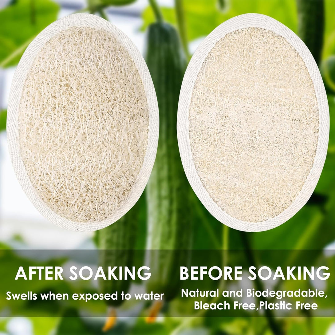 Natural Loofah Sponge Exfoliating Body Scrubber, Organic Biodegradable Luffa Bath Shower Scrub for All Skin Types, Men Women (3 Pack)