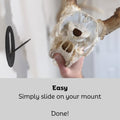 Easy European Mount Skull Hanger - Made in the USA with American Steel - Whitetail Deer Skull Hook Mounting System - Euro Mount Kit - Quick