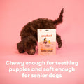 Pupford Soft & Chewy Training Treats for Dogs & Puppies (Chicken, 5 Oz)