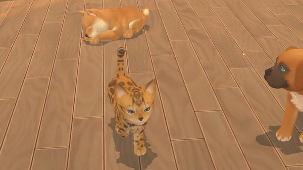 My Universe: Puppies and Kittens Nintendo Switch