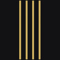 4 Pieces 12 Inches 1/4 Inch Brass round Rods, Favordrory Brass Rods Lathe Bar Stock, 1/4 Inch in Diameter 12 Inches in Length