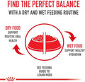 Royal Canin Yorkshire Terrier Adult Breed Specific Wet Dog Food, 3 Oz Can (4-Pack)