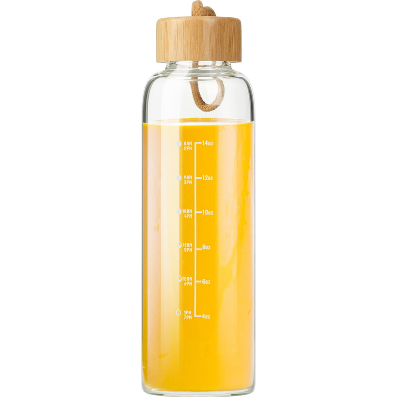 Glass Bottles with Lids and Time Marker, Glass Water Bottles with Carrying Strap, 17Oz Glass Bottles for Juicing for Office, Gym