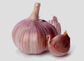 Garlic Bulb (3 Pack), Fresh Siberian HARDNECK Garlic Bulb for Planting and Growing Your OWN Garlic or Eating