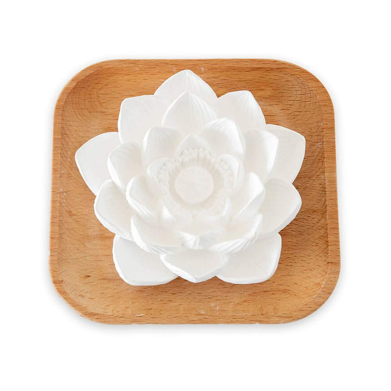 Plant Therapy Passive Lotus Flower Aromatherapy Diffuser - A Chic and Natural Home, Office, and Travel Essential Oil Diffuser