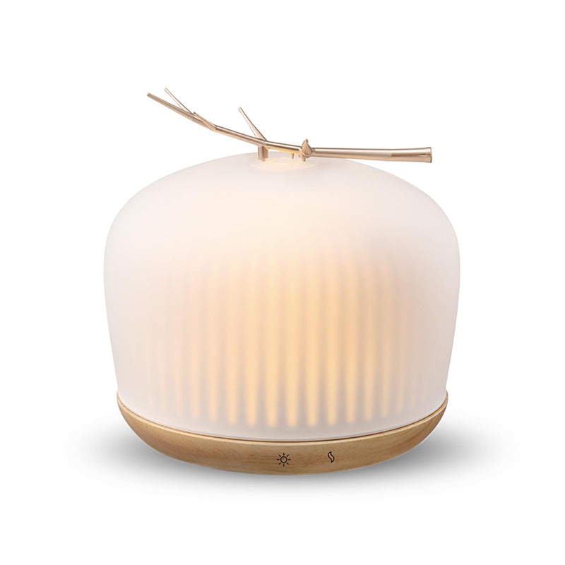 Mimicat Quiet Aromatherapy Diffuser Glass: 230ML Ultrasonic Cool Mist Scent for Home with Night Light - Aesthetic for Women Girls
