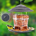 Ewonlife Bird Feeders Outdoors Hanging, Squirrel Proof Bird Feeder for Outside, 2 Pack, Easy Clean and Fill, Adjustable Feeder with Sturdy Wire