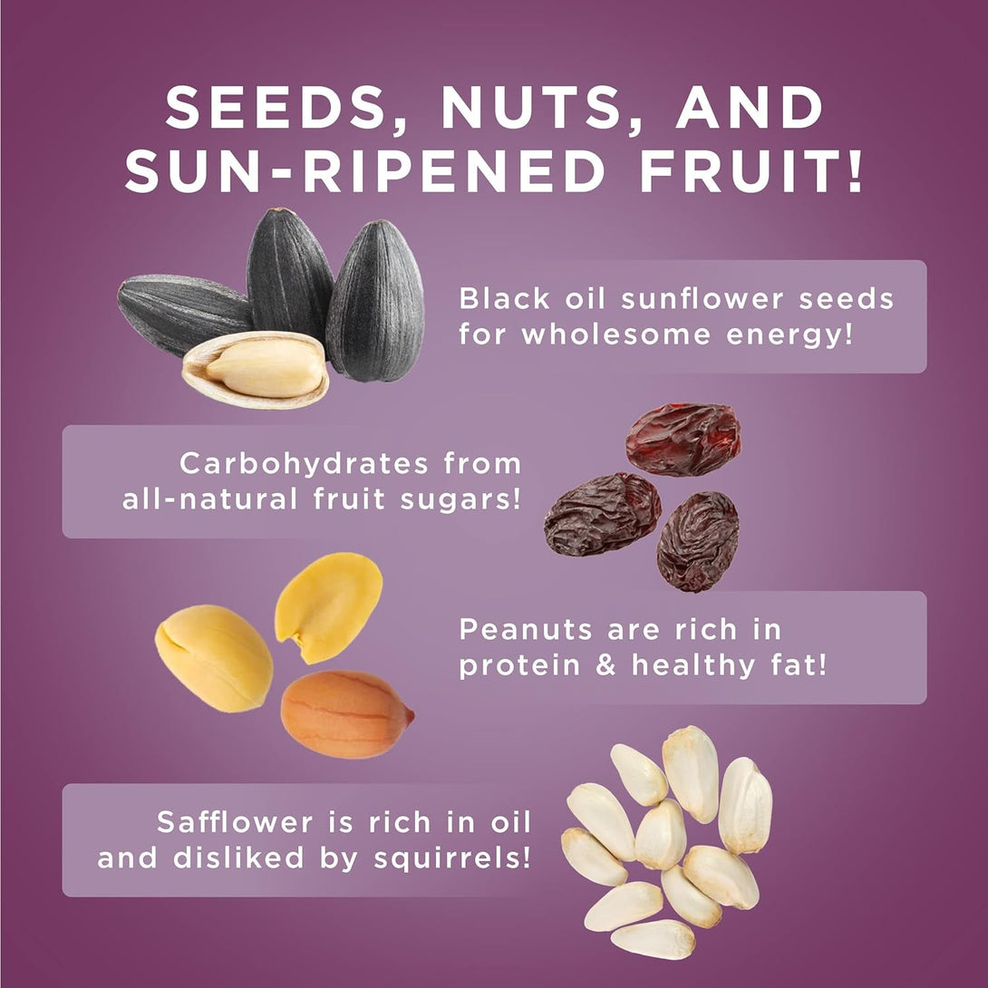 Audubon Park Nut & Fruit Snack Stack Wild Bird Food, Bird Seed Cake for outside Feeders, 6-Pack