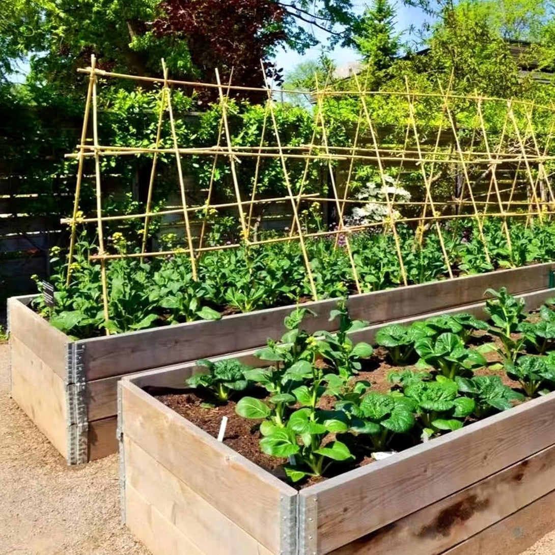 Bamboo Stakes 4FT Garden Stakes Plant Stakes for Indoor and Outdoor Climbing Plants Poles Sticks Support Tomatoes Eggplants Beans 25 Pack