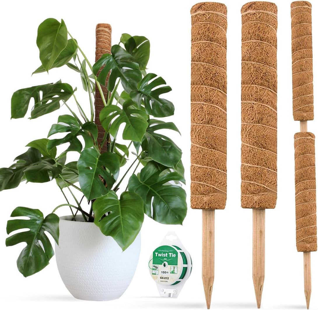 JOYSEUS 30 Inch Moss Pole for Climbing Plants - 2 Pack 15 Inch Coir Totem Pole Plant Support with 65 Feet Garden Twist Tie for Monstera and Potted Plants to Grow Upwards…