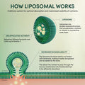 Propolis Liposomal Vitamin C by Beekeeper'S Naturals, 1000Mg Vitamin C, Propolis & Organic Honey, Supercharged Immune Support & Increased