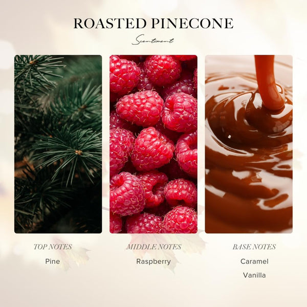 Roasted Pine Cone Fall Collection Diffuser Oils | Aromatherapy Home Fragrance | Luxurious Scent with Notes of Pine, Raspberry, Caramel, 20Ml