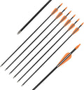 Elong Fiberglass Arrows Archery 24 26 28 30Inch Target Shooting Practice Safetyglass Recurve Bows Suitable for Youth Children Woman Beginner