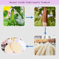 Natural Loofah Exfoliating Body Scrubber,Bath Shower Loofah Sponge for Women and Men,Made with Biodegradable Shower Luffa Sponge,For Face and Body