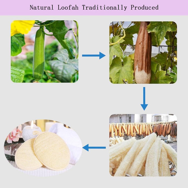Natural Loofah Exfoliating Body Scrubber,Bath Shower Loofah Sponge for Women and Men,Made with Biodegradable Shower Luffa Sponge,For Face and Body