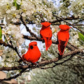 Berfutall-Cardinal Clip On Christmas Tree Ornament Decorations - Red Feathers Set of 12 Pieces Each is 2.8" Lon(A) A 12pc