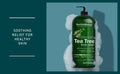 New York Biology Tea Tree Body Wash for Men and Women - Moisturizing Body Wash Helps Soothe Itchy Skin, Jock Itch, Athletes Foot, Nail Fungus,