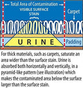 Instantly Urine Odor Remover & Eliminator for Cat Urine - Neutralizer of Cat Pee, Oxidized Based Urine Cleaner Solution for Carpets, Rugs,