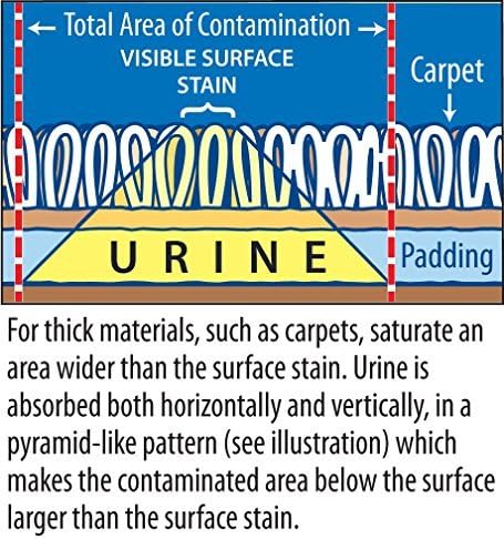 Instantly Urine Odor Remover & Eliminator for Cat Urine - Neutralizer of Cat Pee, Oxidized Based Urine Cleaner Solution for Carpets, Rugs,